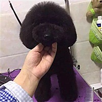 我期待未来的你