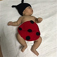 小木偶儿