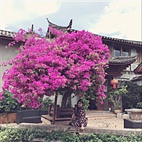 月光水岸