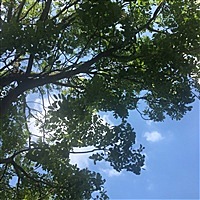 晨曦👒🌾