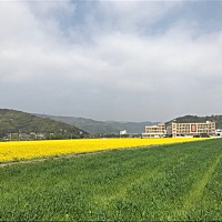 A清港争鲜寿司13626628997