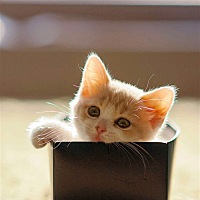 可恩口腔-马姗姗