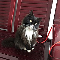 A～惠群广场阅尚女装👗