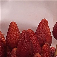小桃心快快来