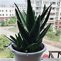怀孕用户lXbY