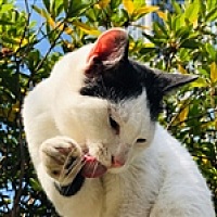 白羊座宝宝金牛宝宝