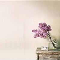 乖乖宝贝的妈妈