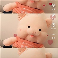 小太阳Gilon[帖主]