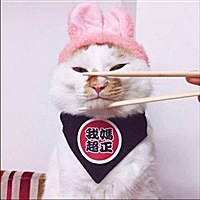 文静