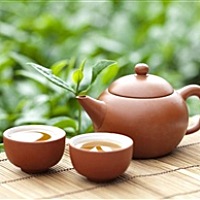 Cafelovetea