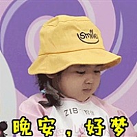 健康小猪宝