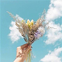 世界上的另一个你