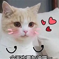 等待宝宝出生