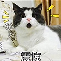      圈子不同。何必硬融？