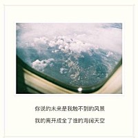 兰花情缘