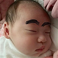 阳光彩虹小白马