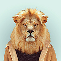 Thomas
