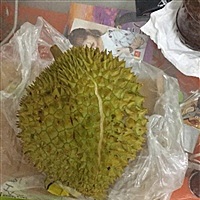 再也无法期盼夏天了