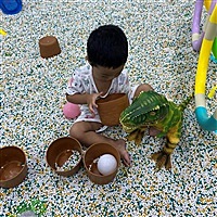 嘟嘟子妈妈