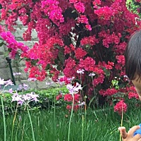 AAA琦色国际特约代理@果果的麻麻