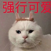 大小小大