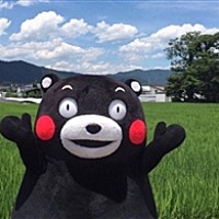 樱桃小羊子。