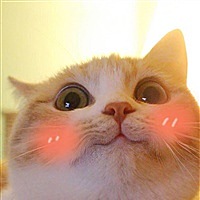 三幸阿。