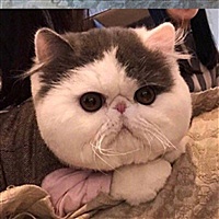 莫名其妙地发现