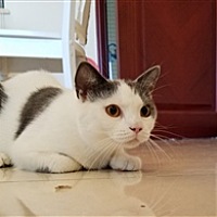 还不是因为你长得不好看