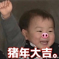 好孕猪宝贝
