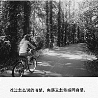 爬上墙头等红杏