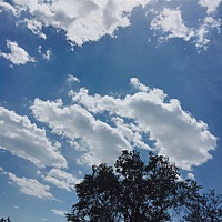 小情绪反反复复