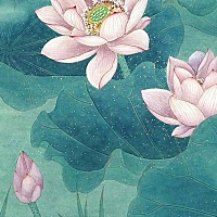茂茂