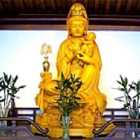 孕上