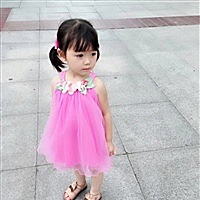 心有猛虎，细嗅蔷薇