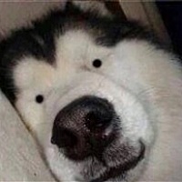 阿颖