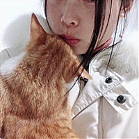 猫猫的咖啡