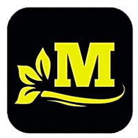 薄荷不懂柠檬心