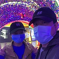 爬山虎
