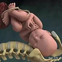 呼噜娃