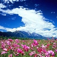 小小汪