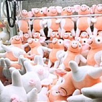 别动了我的可爱多