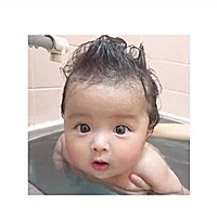 陆女王       🔆