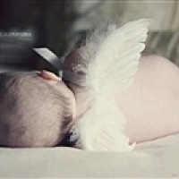 陆女王       🔆