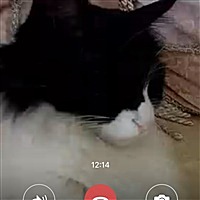 姬小媛