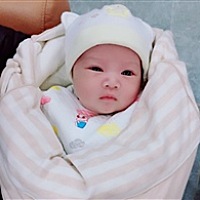 环球捕手 乱世梦红颜