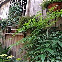 不哭不闹不炫耀