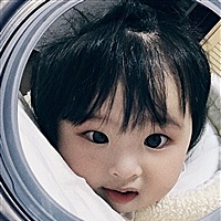 桐宝