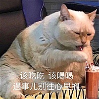 大猫小猫的小小猫