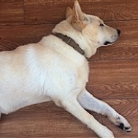 希望整个孕期都顺顺利利